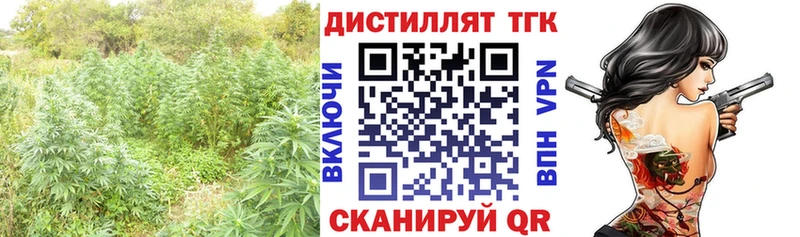 omg как зайти  Новохопёрск  ТГК THC oil 