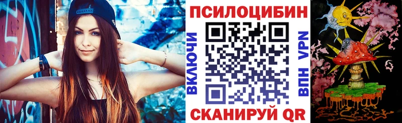 мега ссылки  Новохопёрск  Псилоцибиновые грибы Psilocybe 